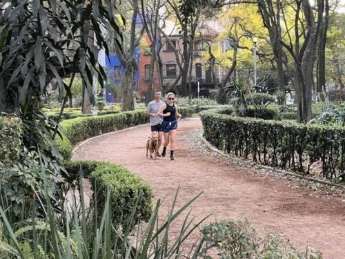 Condesa Residence Amsterdam 202 Bright 1BR 1BA On Amsterdam Av Apartment in Mexico City