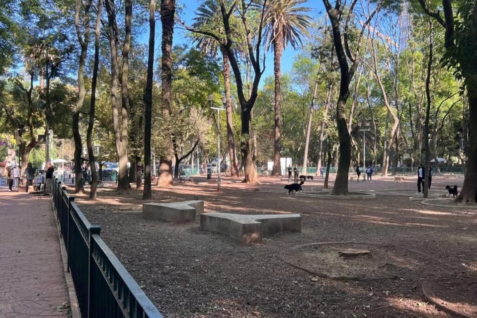Condesa Residence Amsterdam B Inviting 2BR, 1BA Apartment with Modern Touches on Amsterdam Avenue Apartment in Mexico City