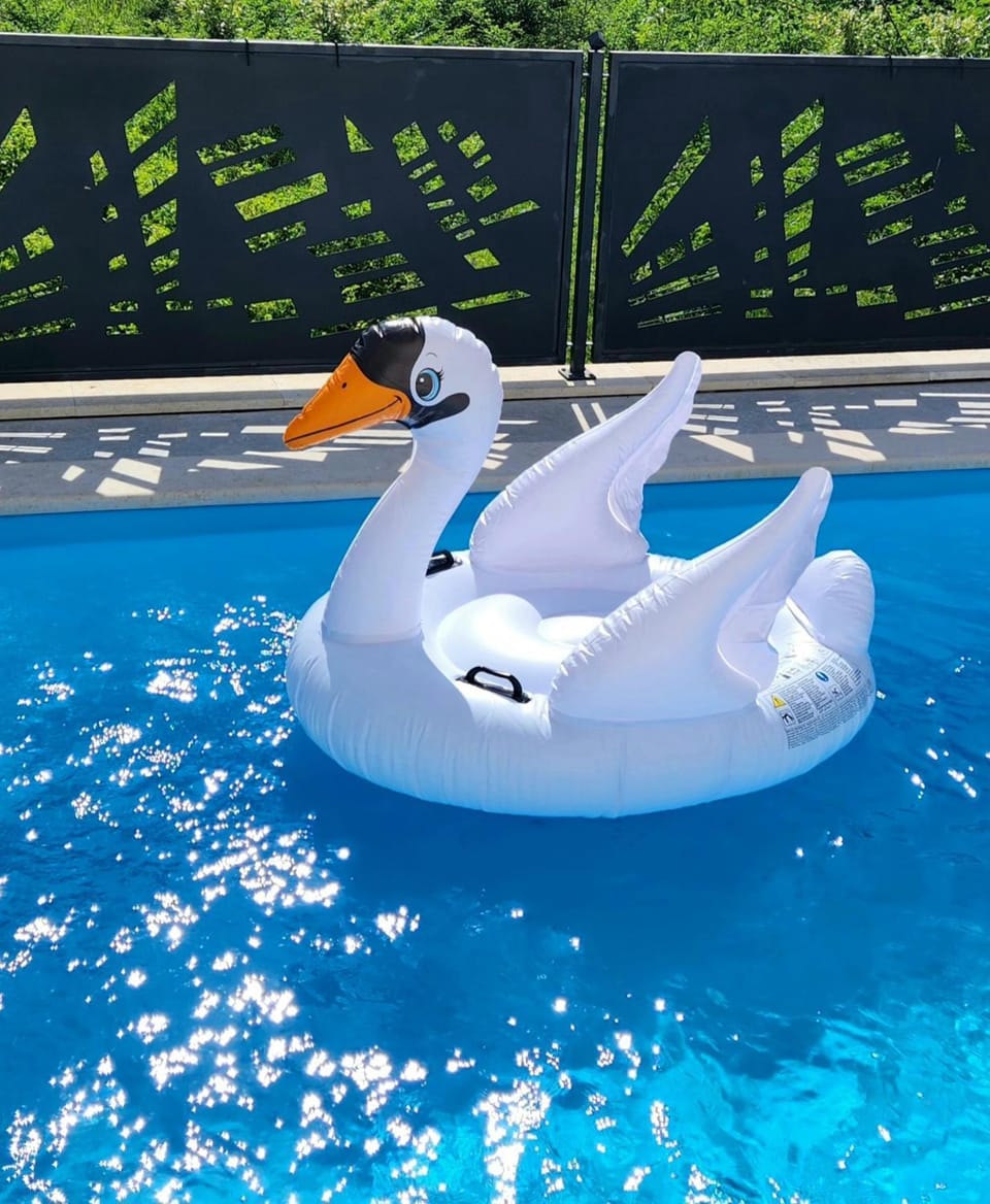 Day, Pool view, Swimming pool, sunbed