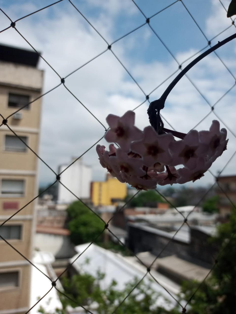 Rincón Verde Apartment in San Miguel de Tucumán