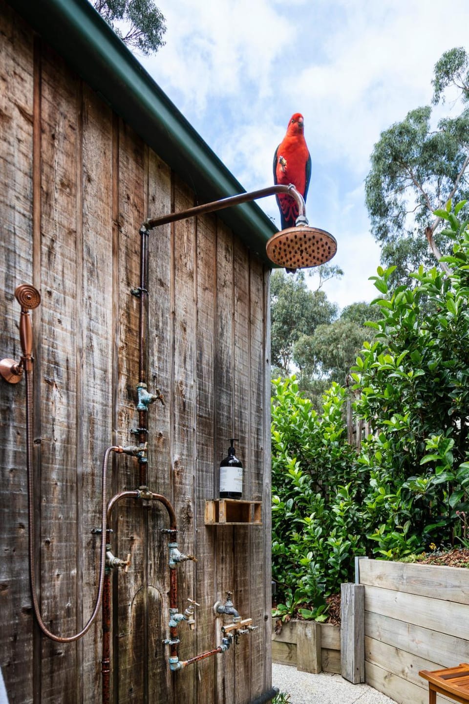 Surf Haven House in Lorne