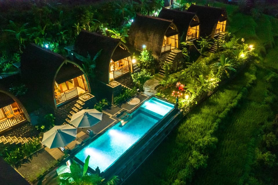 Night, Garden, Garden view, Pool view, Swimming pool, sunbed