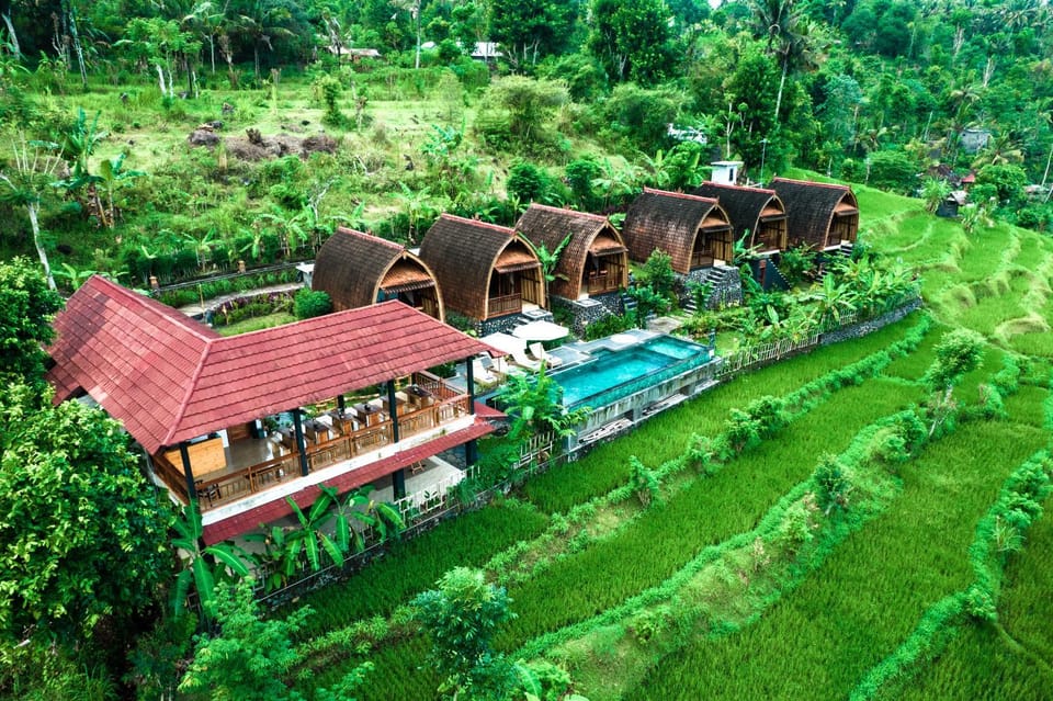 Natural landscape, Garden, Garden view, Swimming pool, sunbed