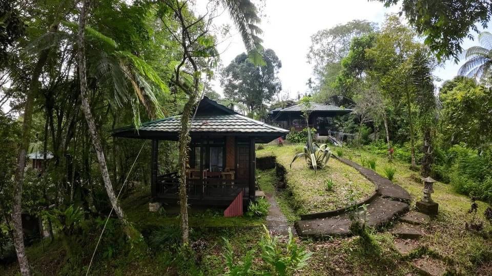 View (from property/room), Bedroom, Area and facilities