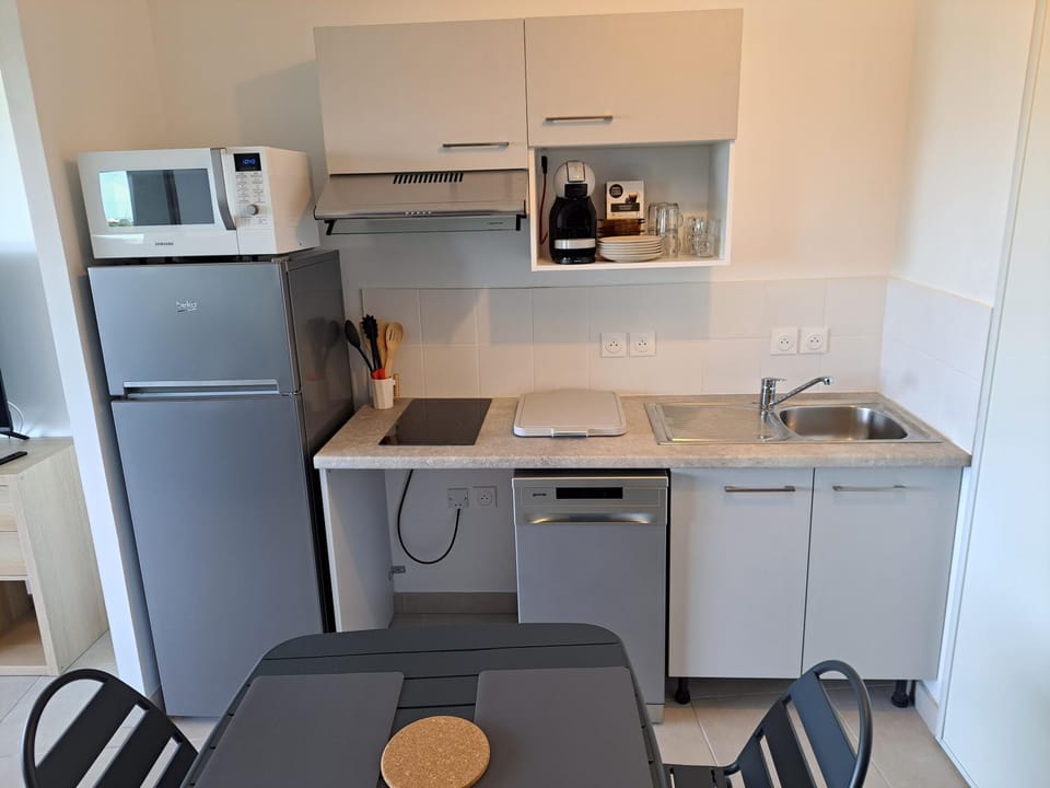 Iconic 343 , Superbe T2 climatisé, wifi, parking, terrasse 18m2 Apartment in Agde