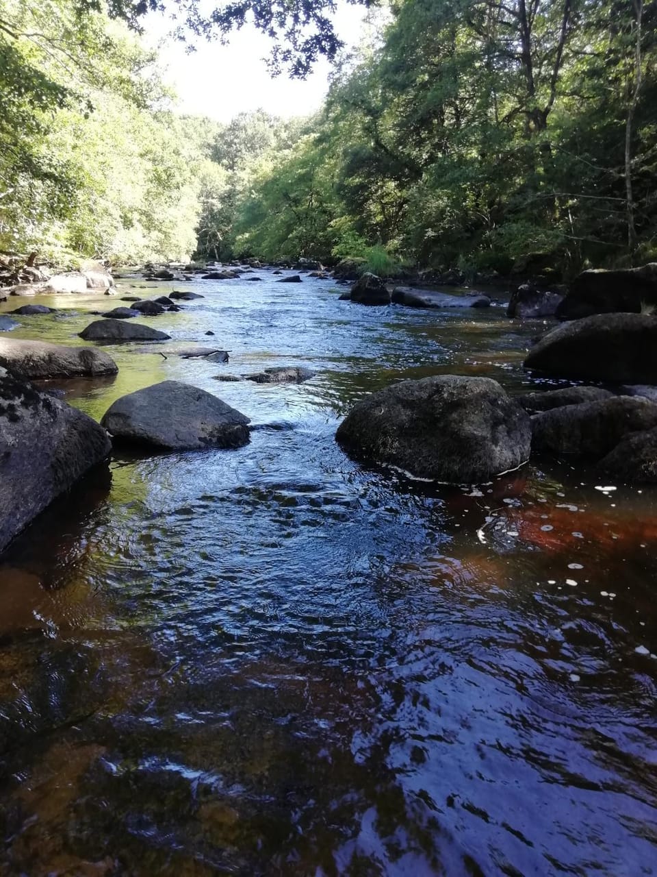 River view