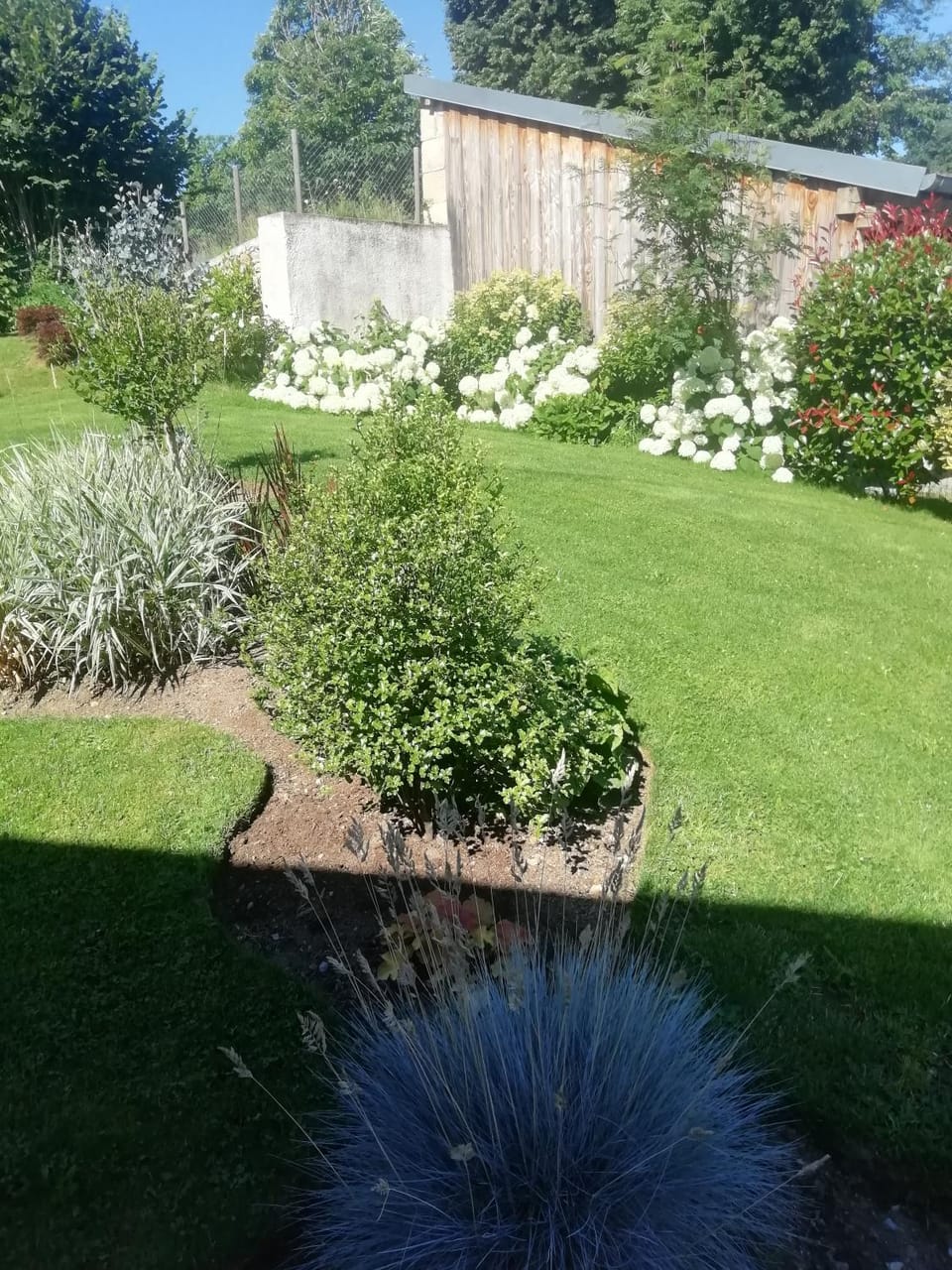 Garden view