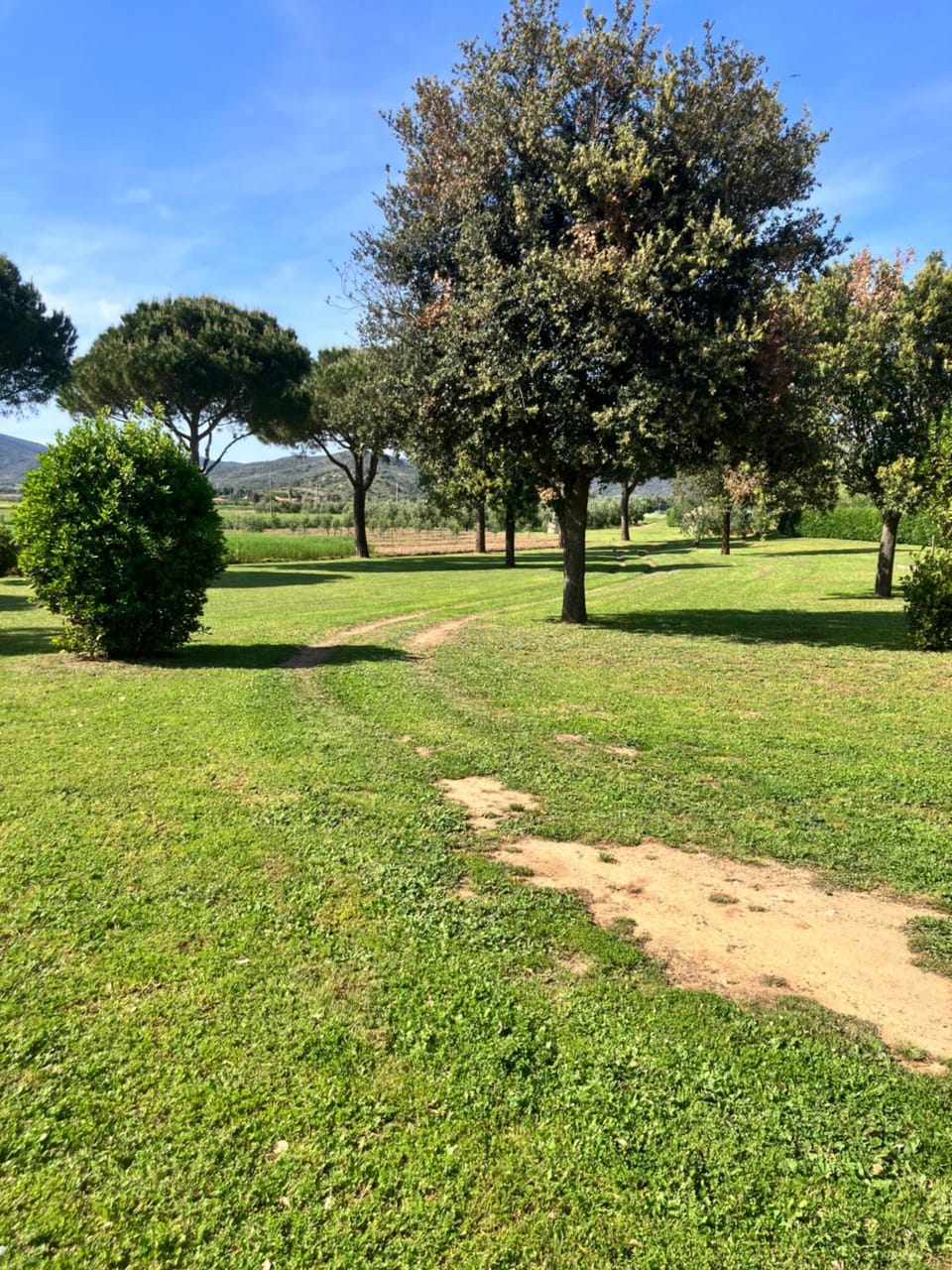 Garden, Garden view