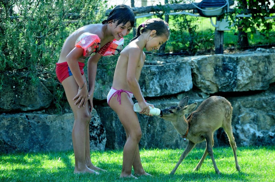 AGRITURISMO PODERUCCIO Farm Stay in Tuscany
