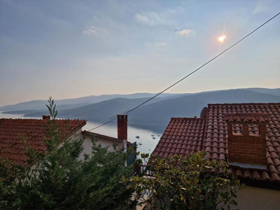 Aloe Apartment in Istria County