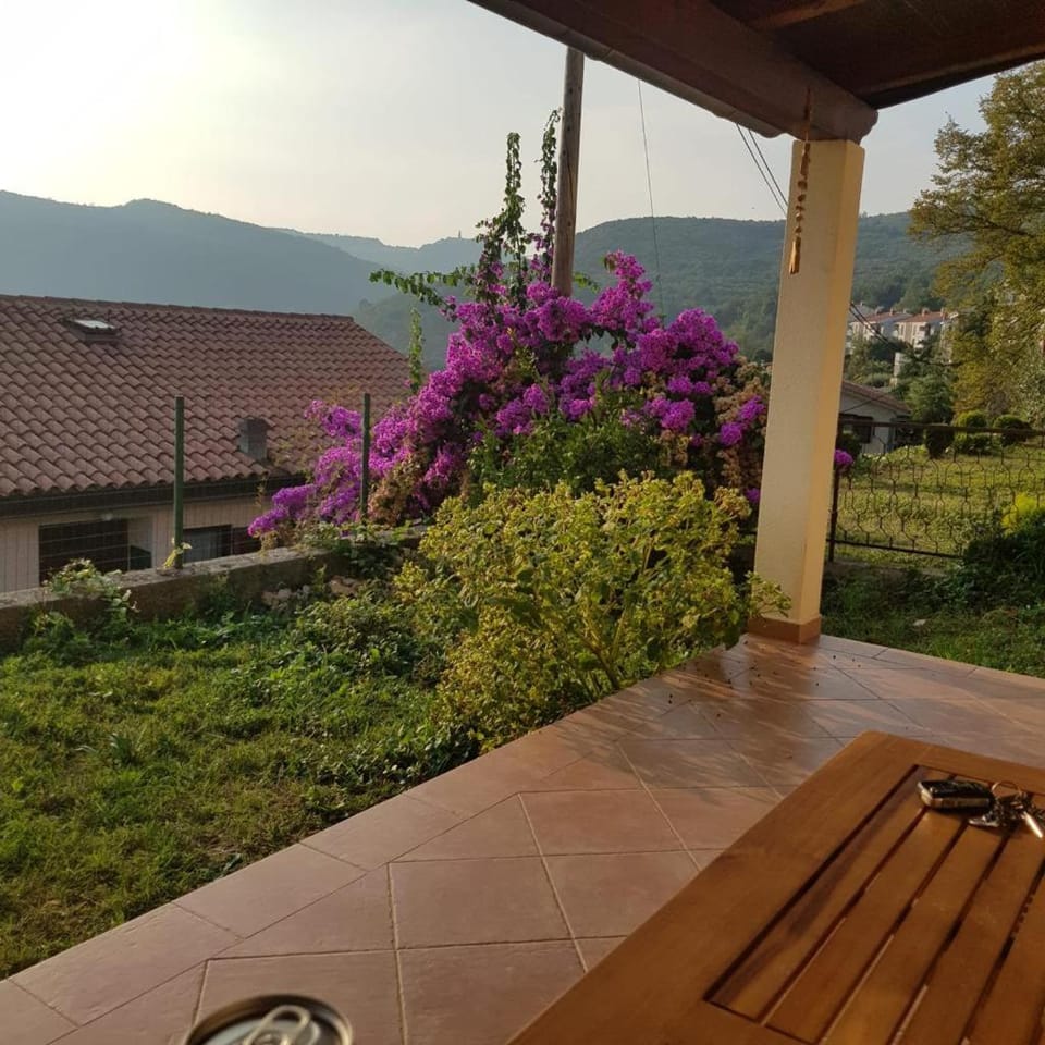 Aloe Apartment in Istria County
