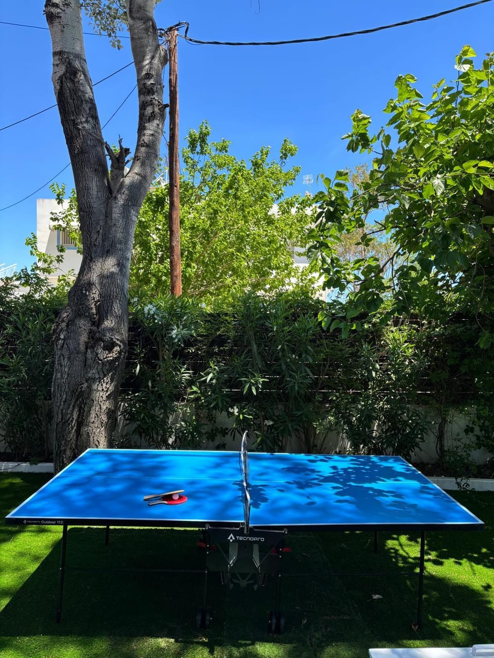 Table tennis