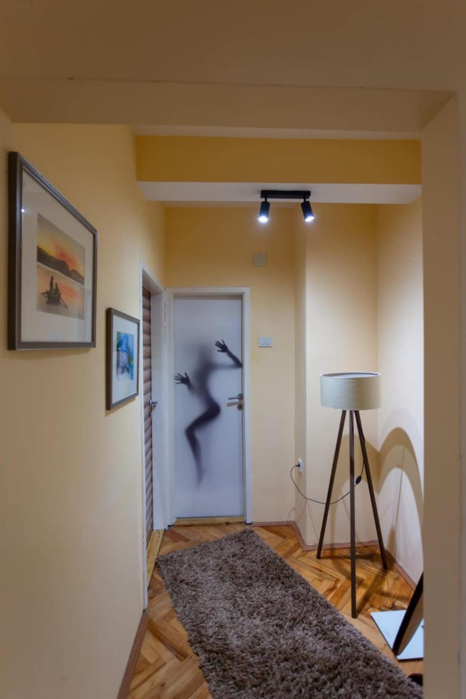 Fenix1 Apartment in Serbia