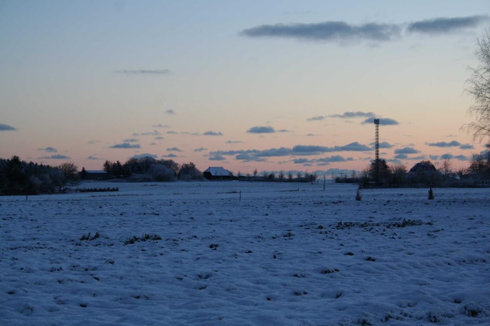 Natural landscape, Winter