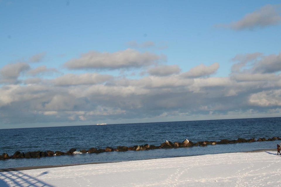 Natural landscape, Winter, Beach