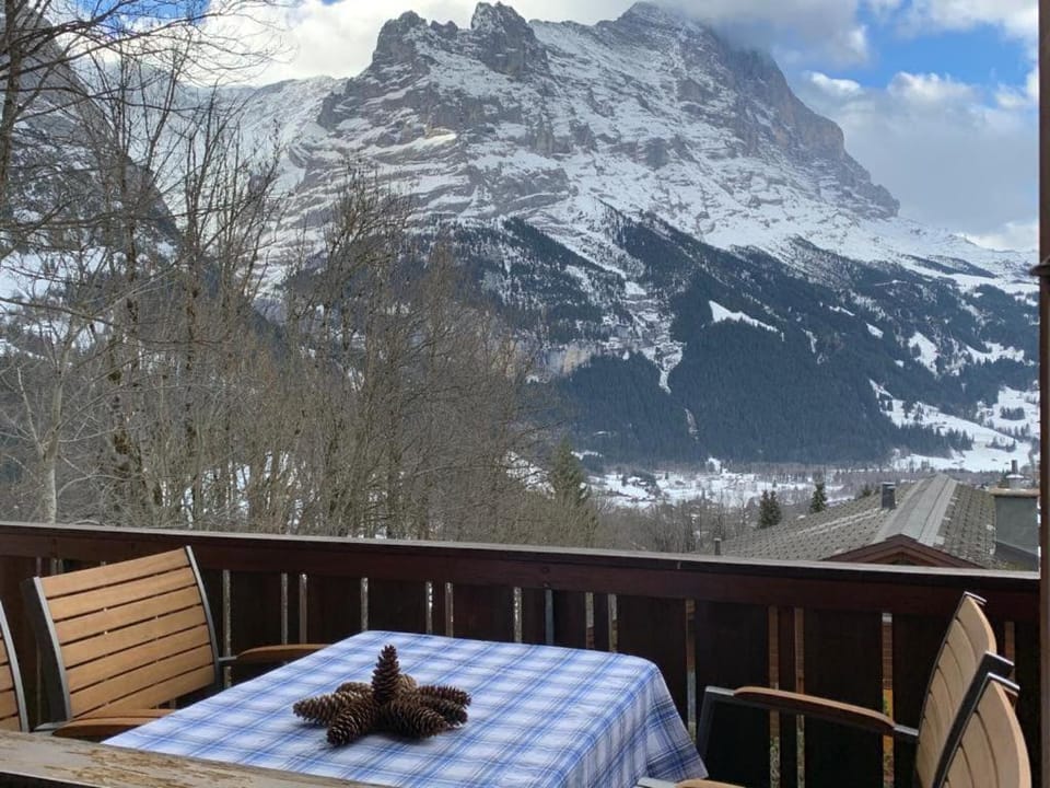 Natural landscape, Winter, View (from property/room), Balcony/Terrace, Balcony/Terrace, Mountain view