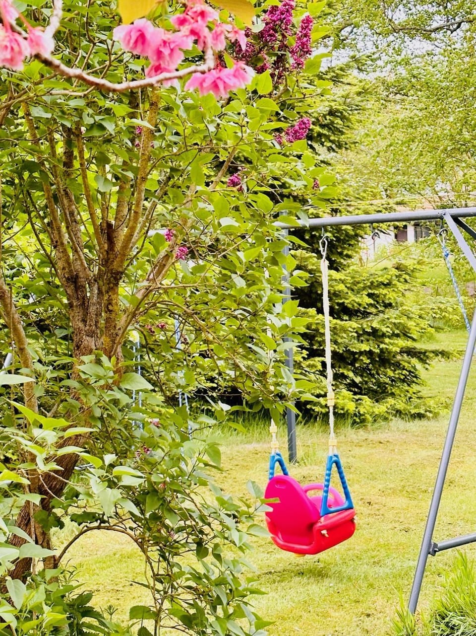Children play ground, Garden