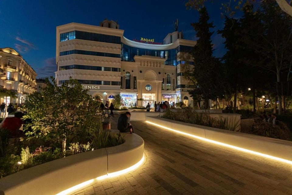 Night, Garden view