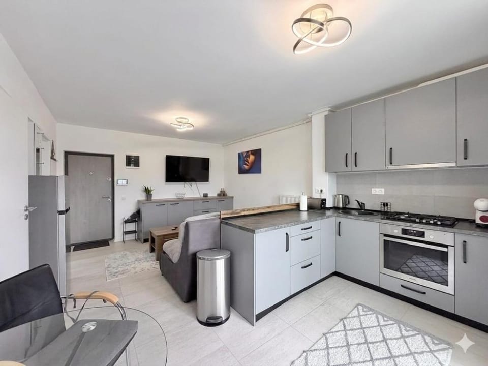 Coder Studio Apartment in Brasov