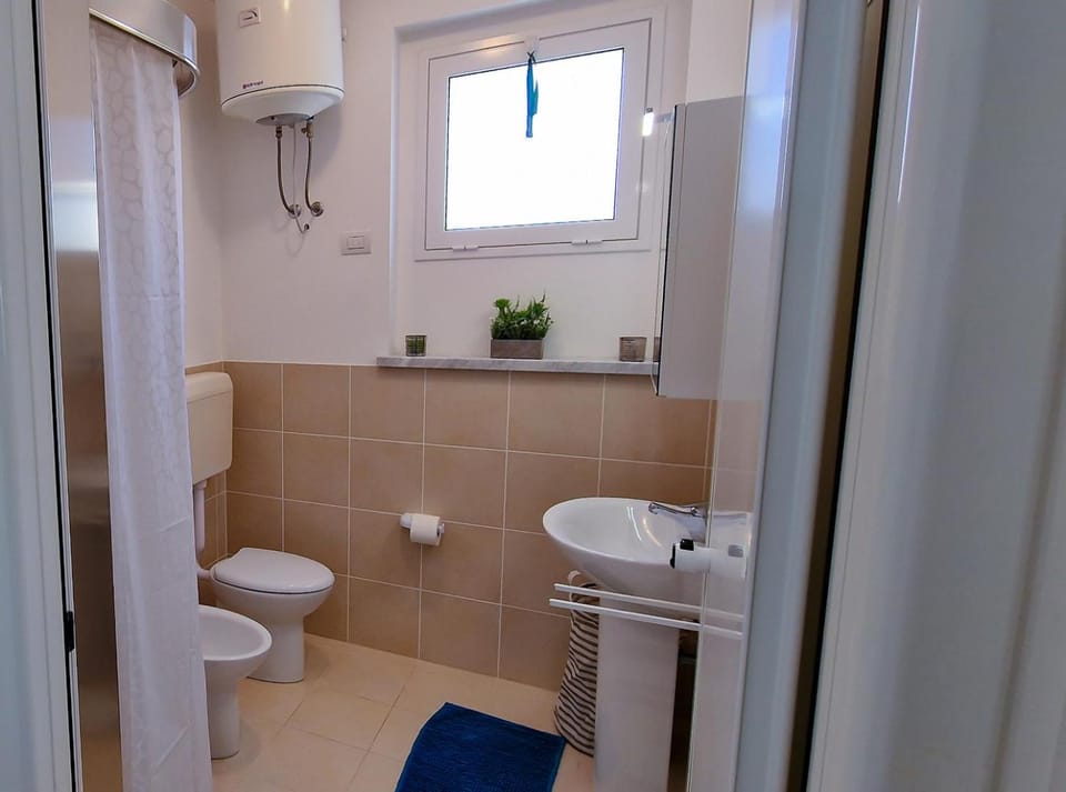 Shower, Toilet, Bathroom, bidet