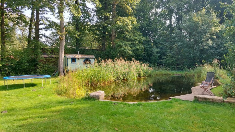 Garden, Sauna, Open Air Bath