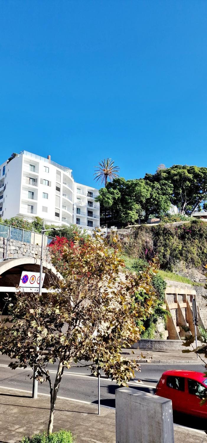 Ocean Pearl Apartment X Apartment in Funchal