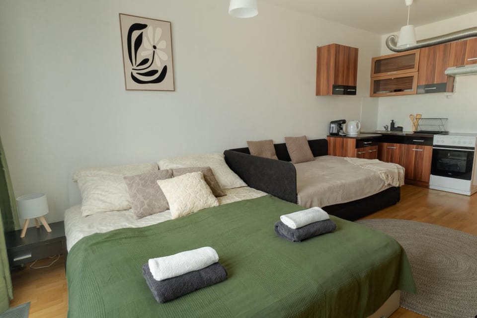 Bed, Kitchen or kitchenette, Living room, Seating area, Dining area, Bedroom, stove, towels