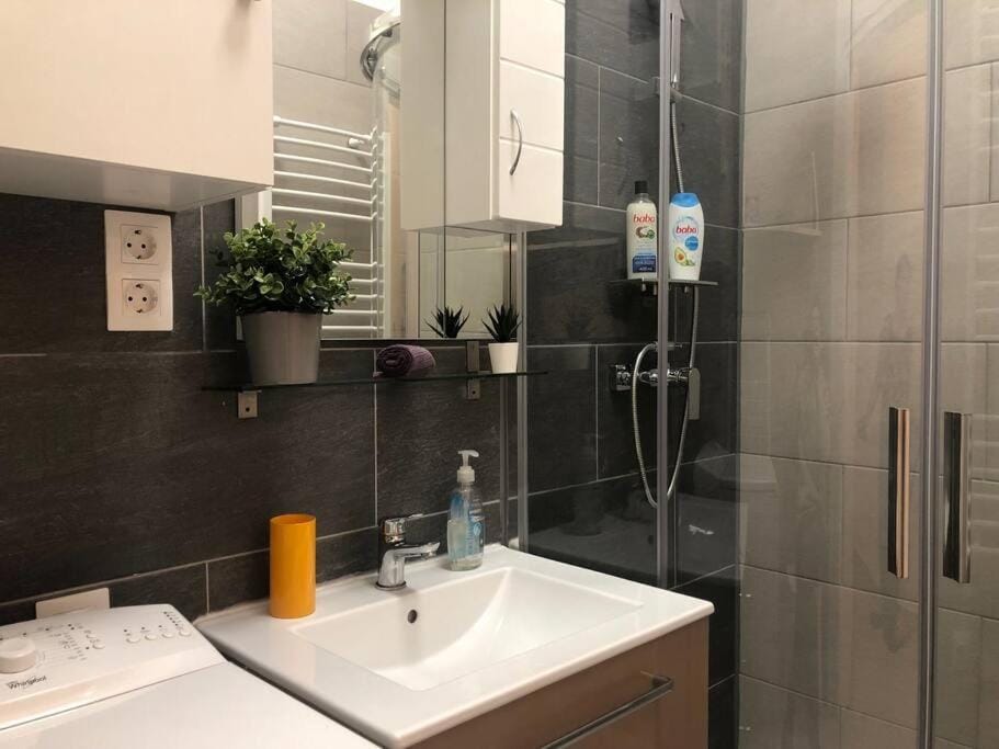 Lili Lakeside New Renovated Apartment in Budapest