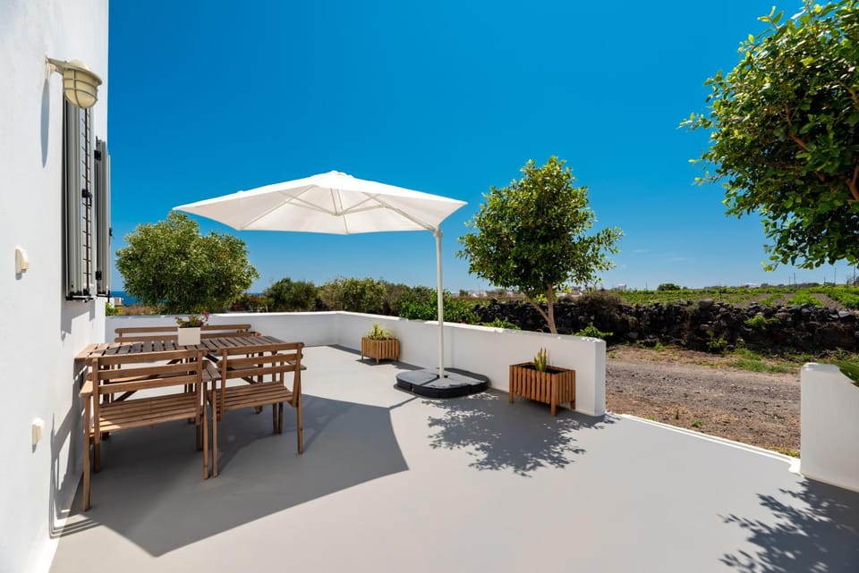 Patio, Garden, Garden