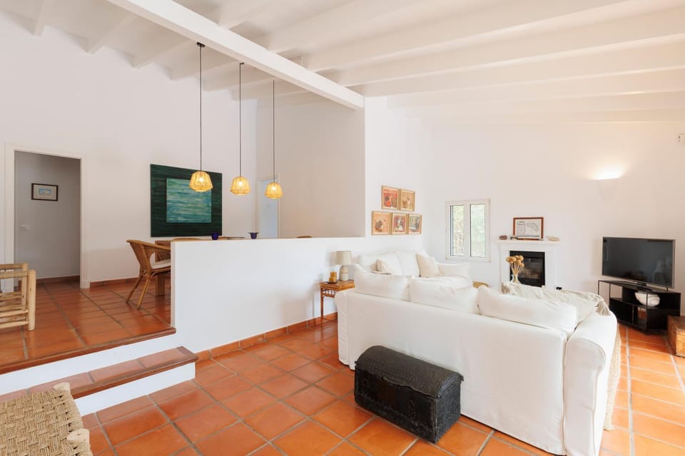 Day, Summer, TV and multimedia, Living room, fireplace