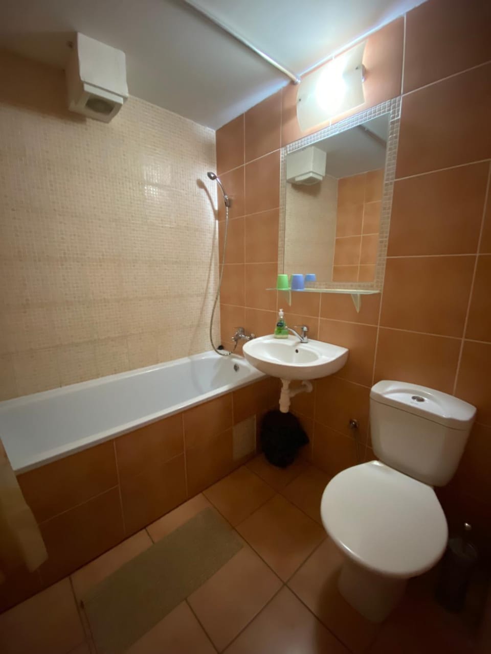 Toilet, Bathroom, Bath