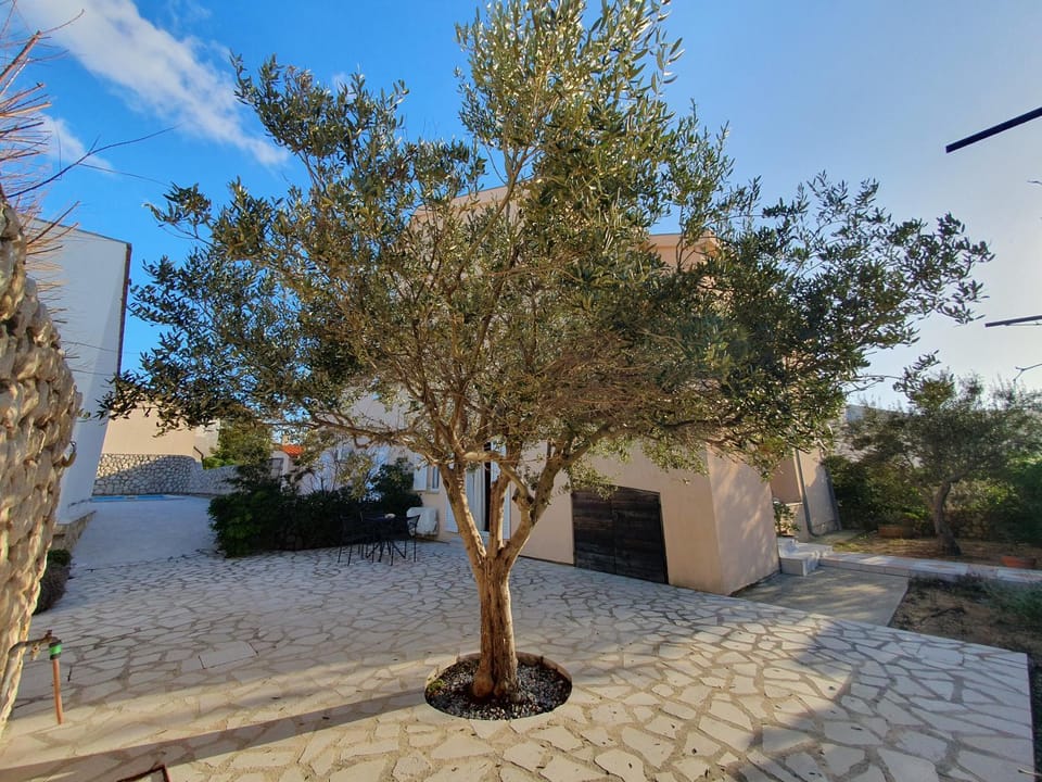 Garden, Garden view