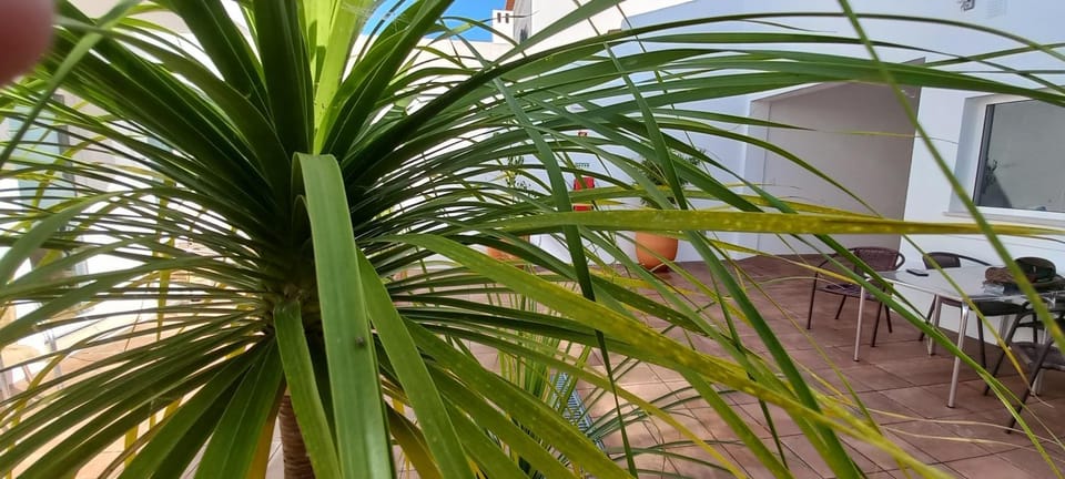 Naturalis Bed and Breakfast in Vila Nova de Milfontes
