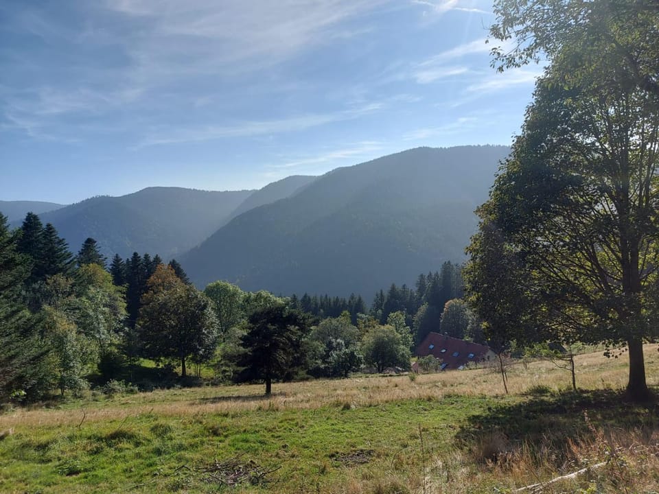 View (from property/room)
