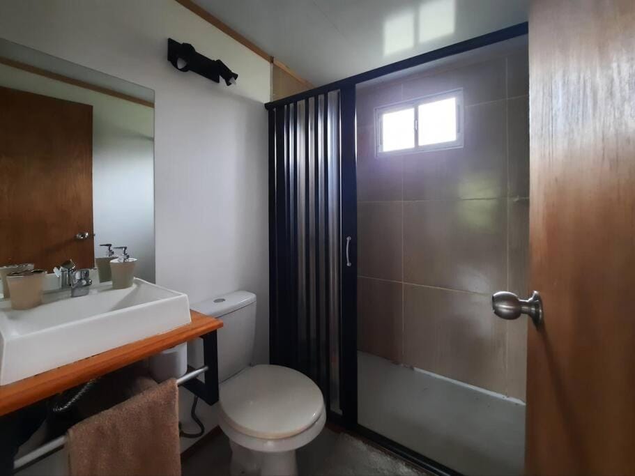 Shower, Toilet, Bathroom