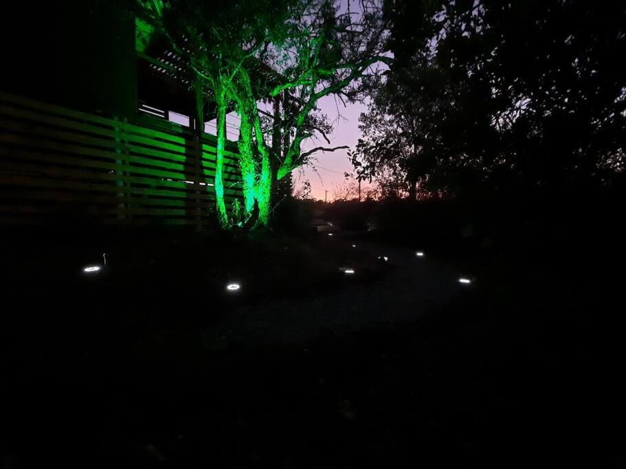 Night, Natural landscape, Garden