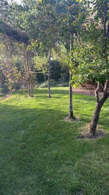 Natural landscape, Garden, Garden view