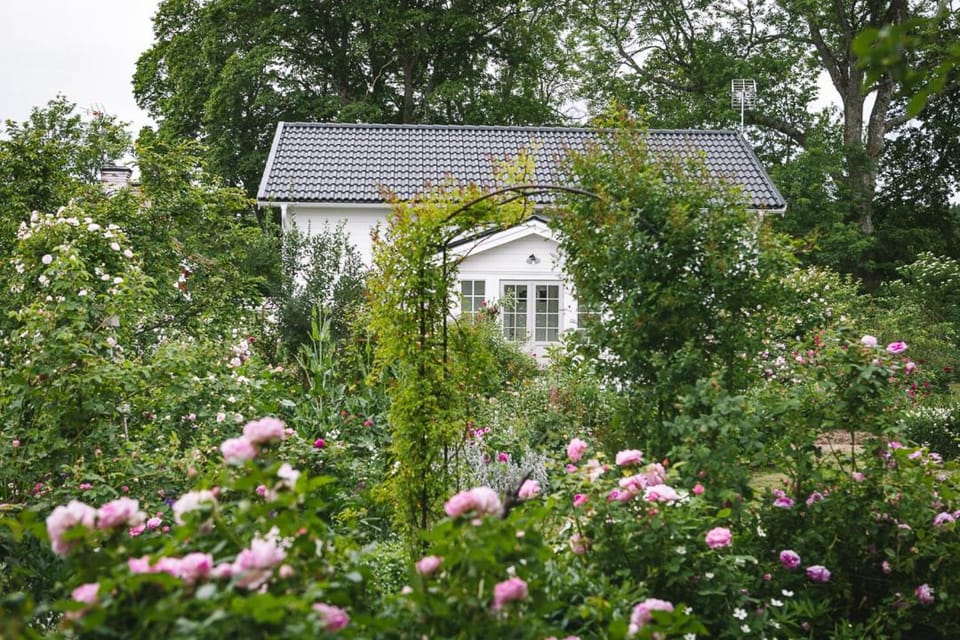 Property building, Garden view