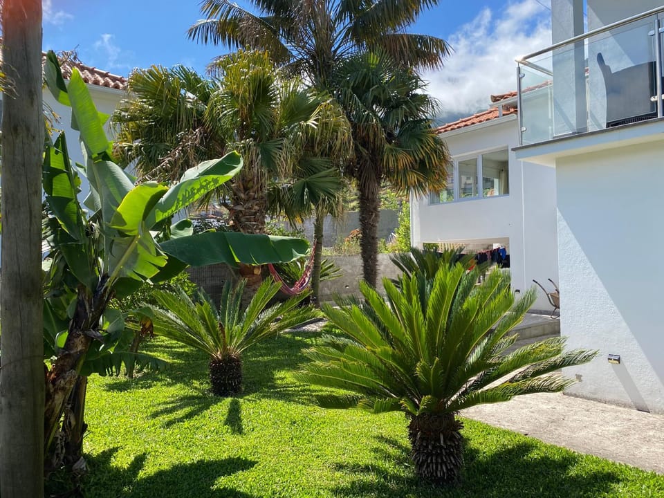 Casa do Cantinho do Muro Villa in Madeira District