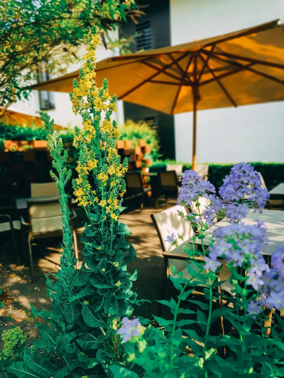 Property building, Restaurant/places to eat