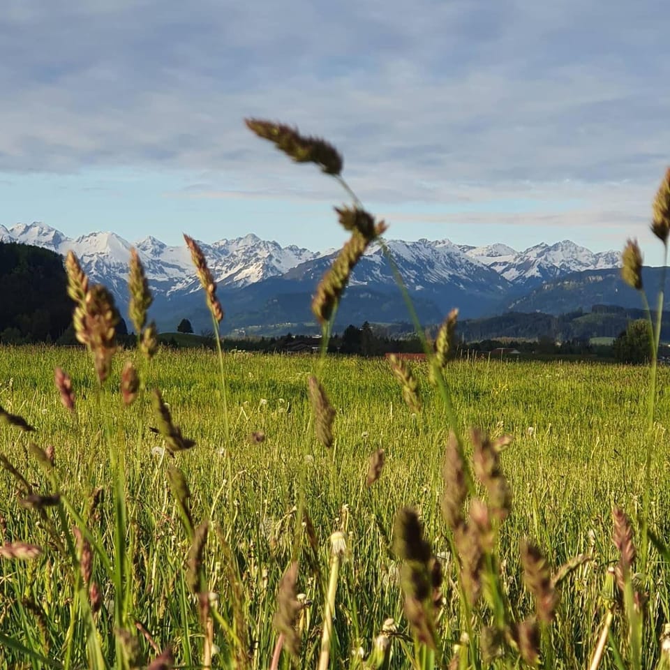 Spring, Time of day, Location
