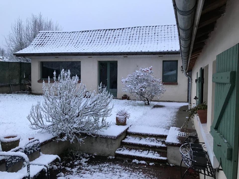 Winter