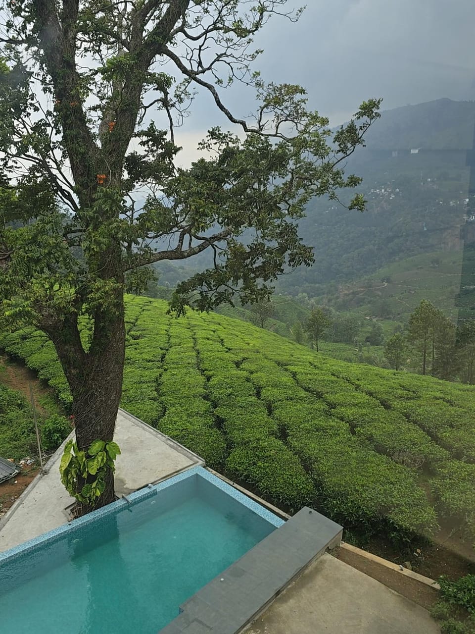 Natural landscape, Garden, Garden view, Mountain view, Pool view, Swimming pool