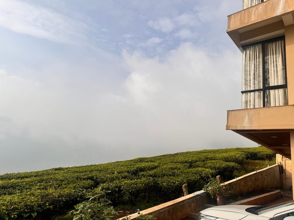 Property building, Natural landscape