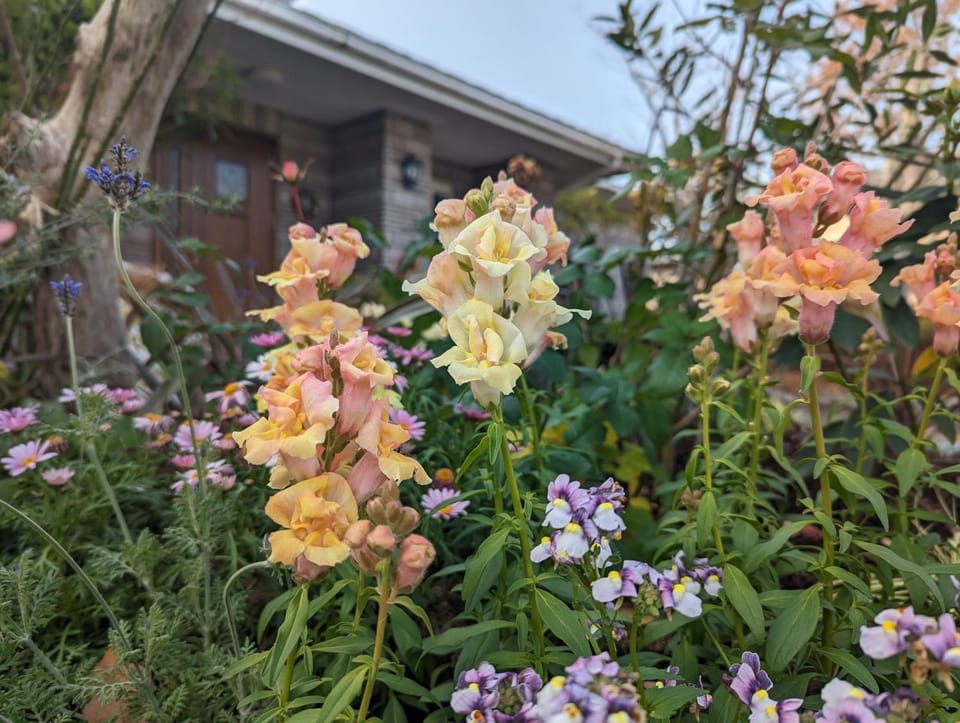柳川ゲストハウス 憩 (IKOI) Bed and Breakfast in Fukuoka Prefecture