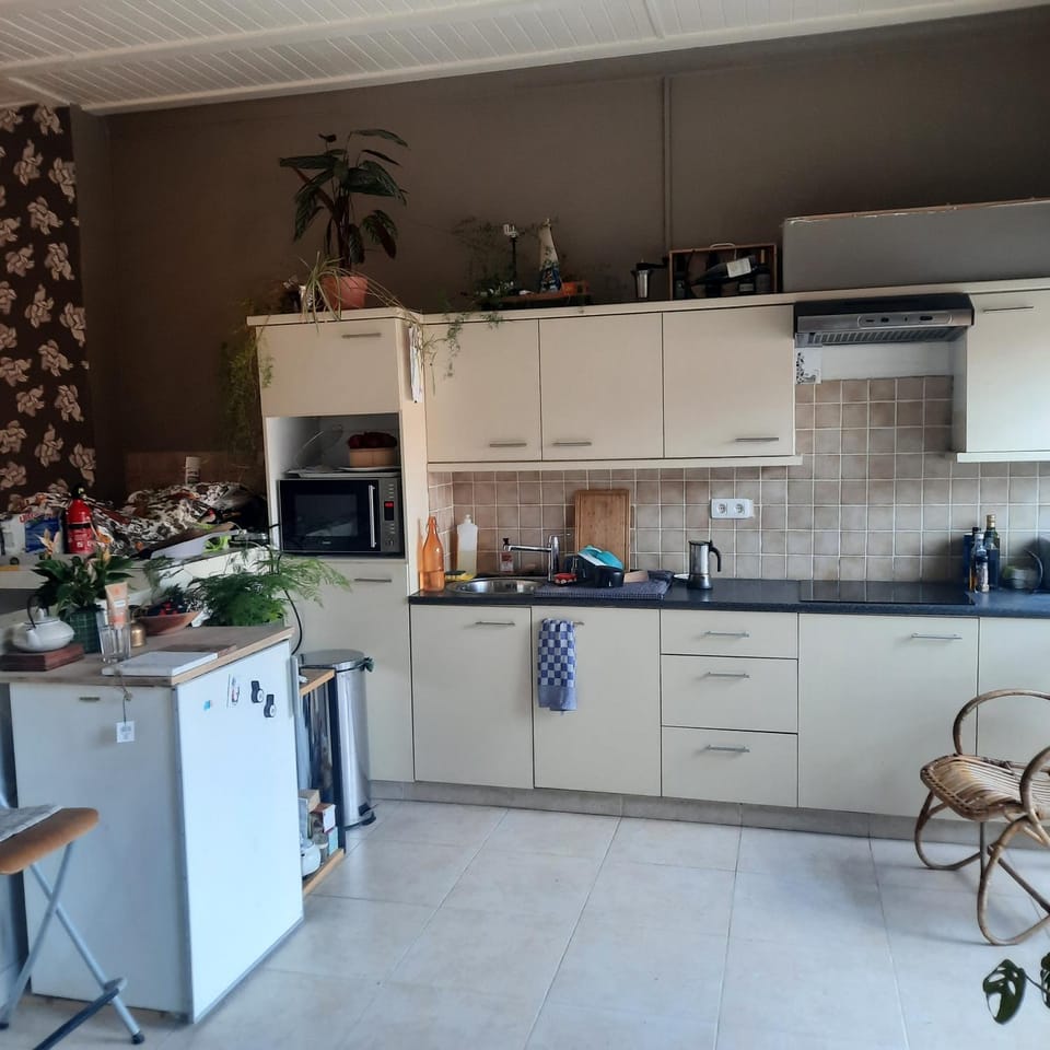 Kitchen or kitchenette, dishwasher, minibar