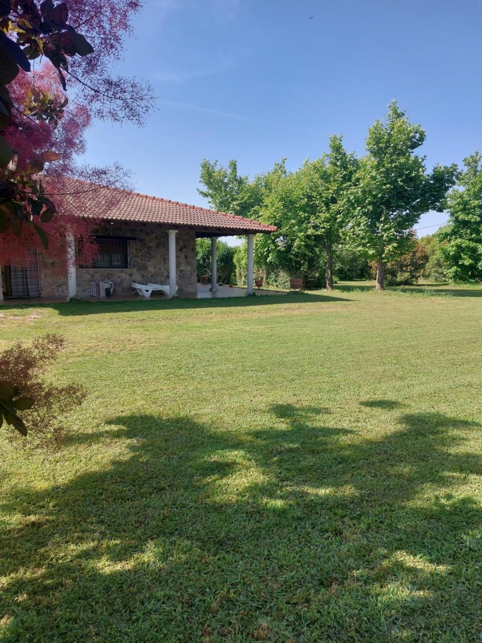 Property building, Day, Natural landscape, Garden, Garden view