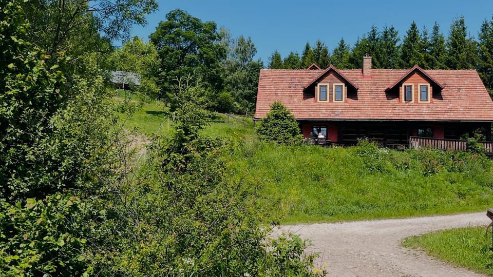 Summer, Garden, View (from property/room)