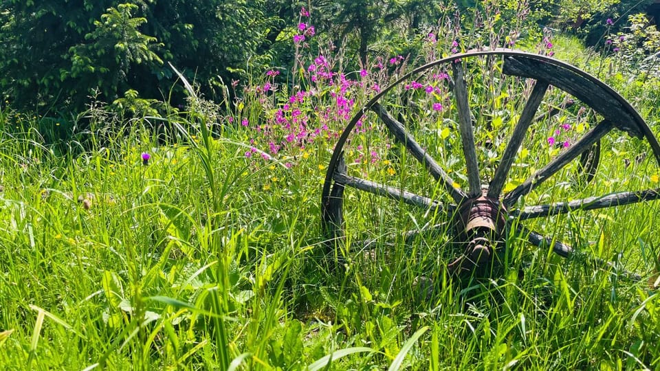 Summer, Garden