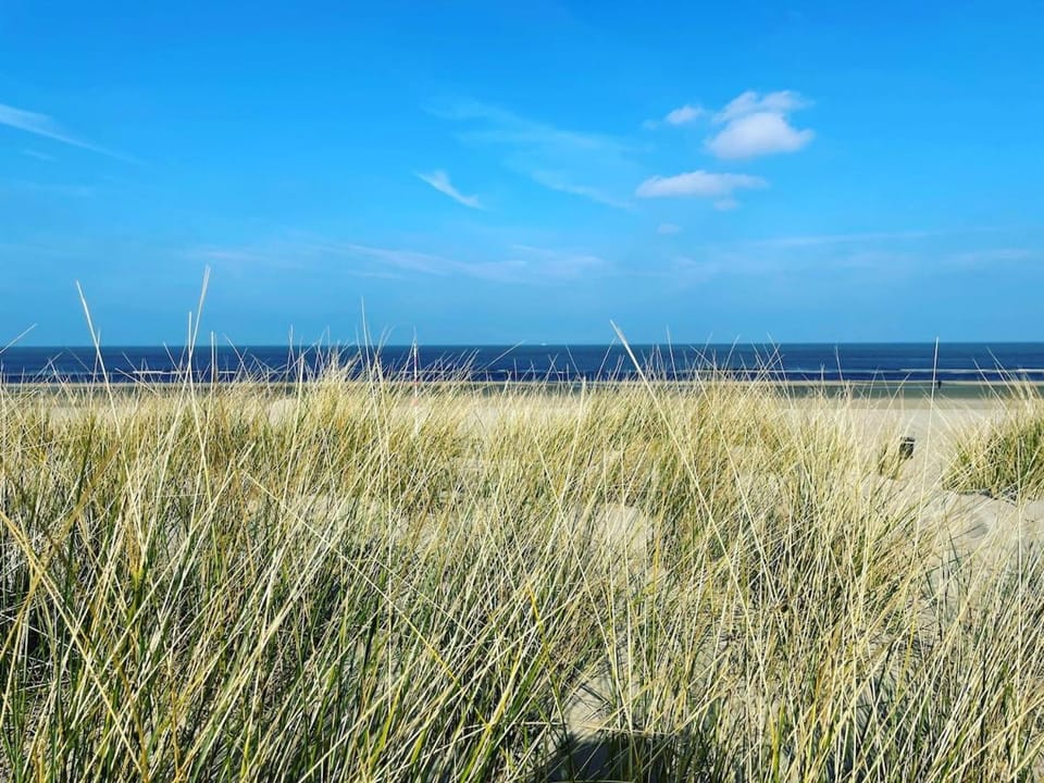 SATORI LODGE near the Dunes & the Beach Apartment in Zandvoort